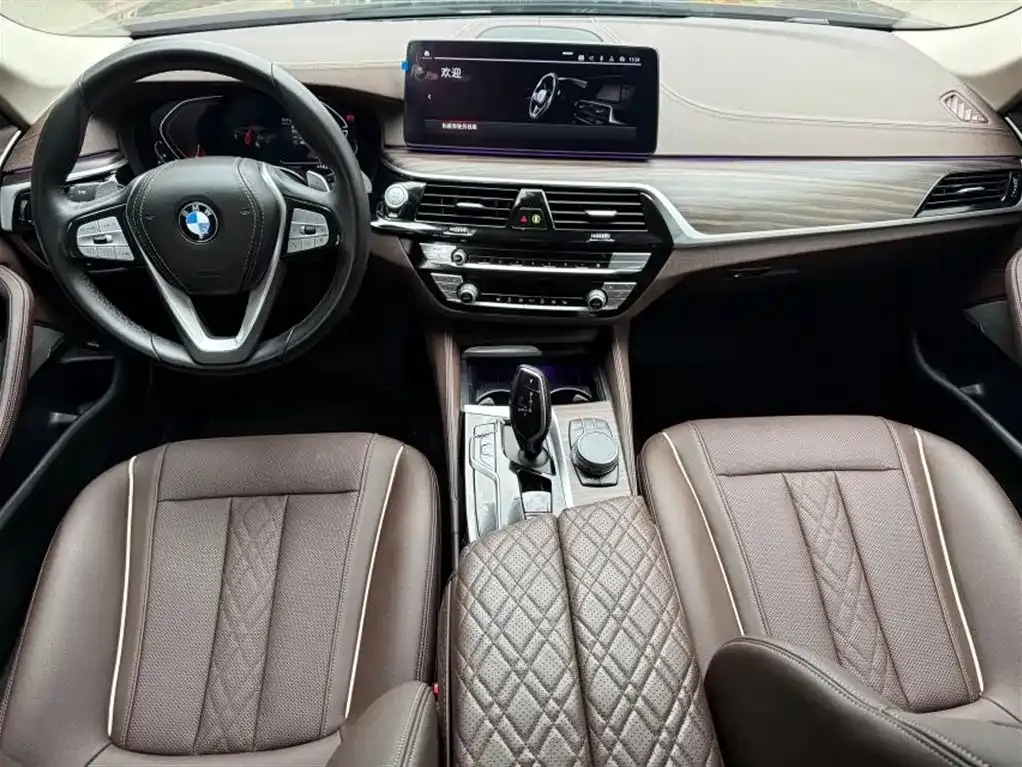 BMW 5 Series 2024 из CN, фото 3