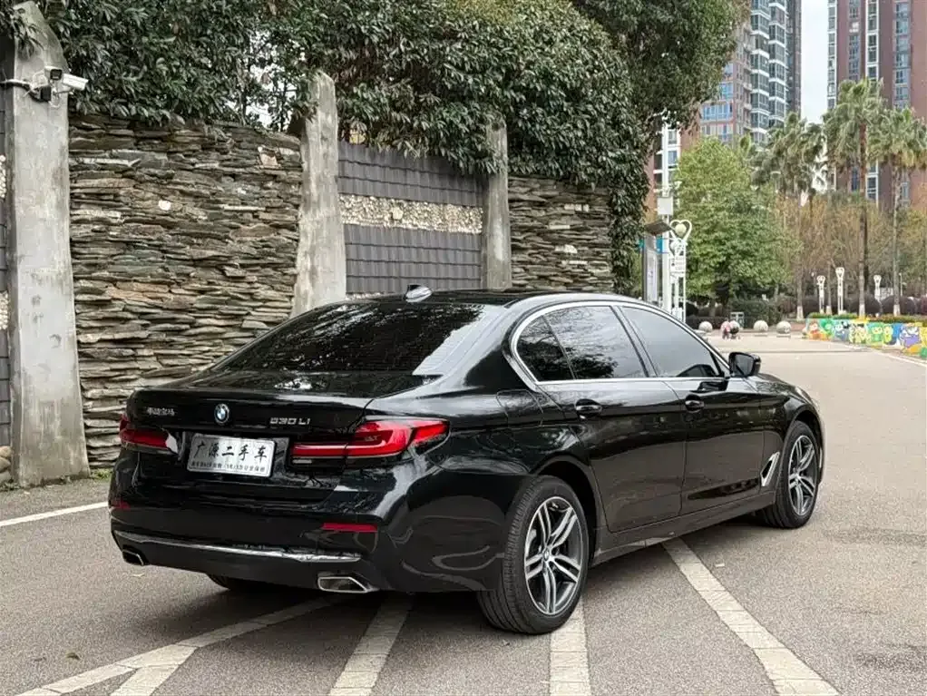 BMW 5 Series 2024 из CN, фото 6