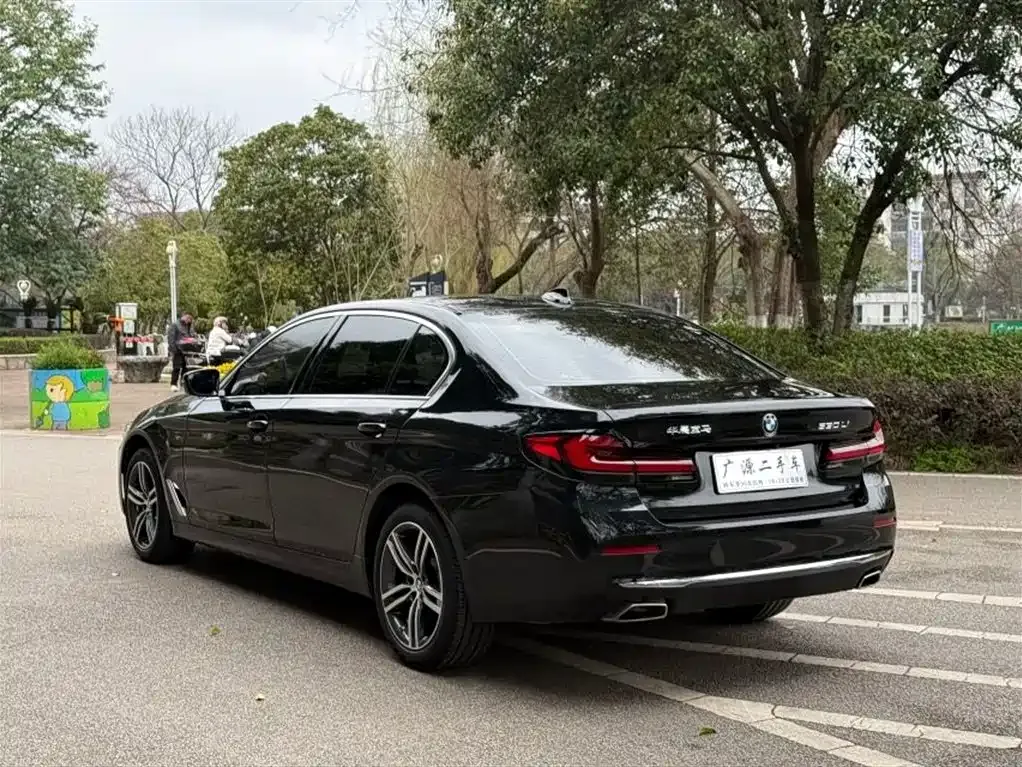 BMW 5 Series 2024 из CN, фото 4