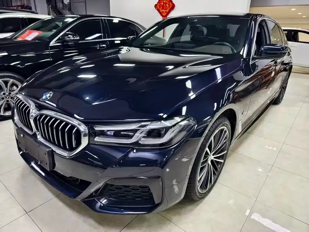 BMW 5 Series 2021 из CN, фото 1