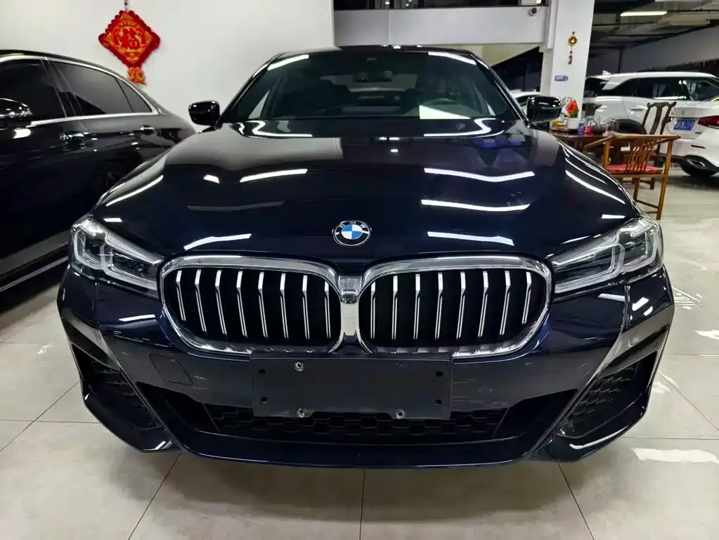 BMW 5 Series 2021 из CN, фото 5