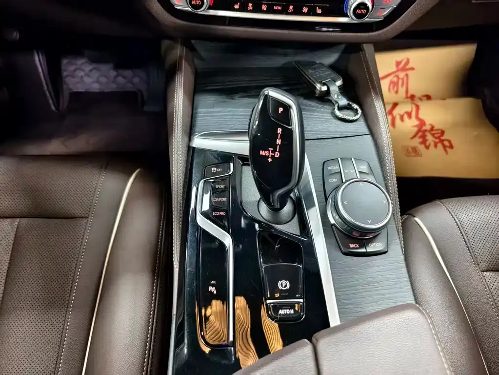 BMW 5 Series 2021 из CN, фото 9