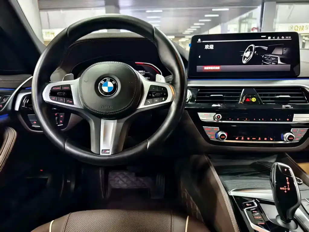 BMW 5 Series 2021 из CN, фото 8