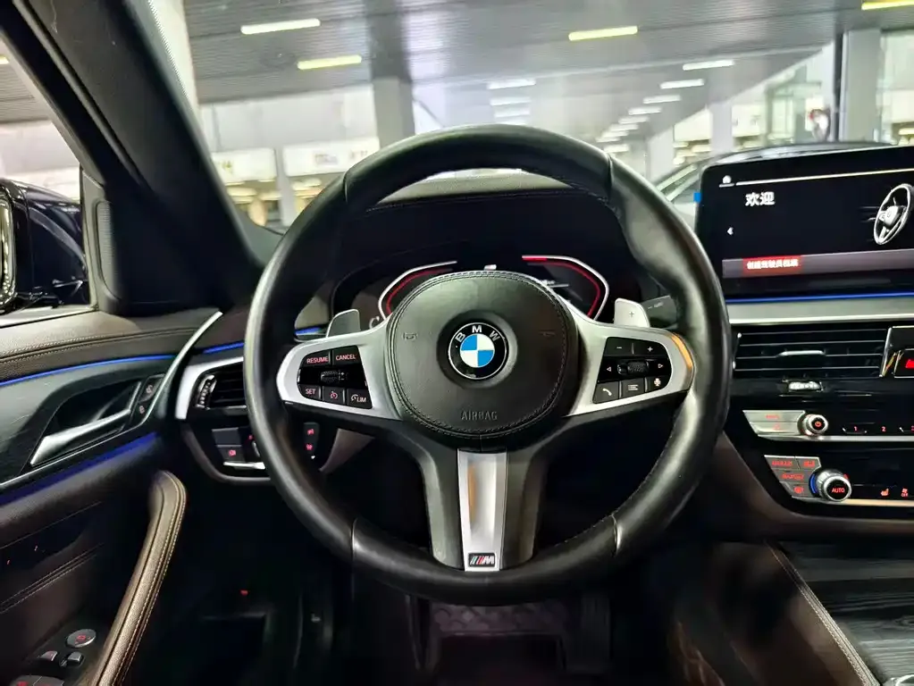 BMW 5 Series 2021 из CN, фото 7
