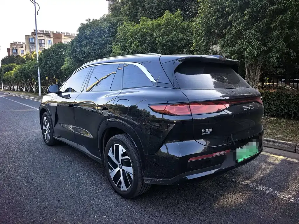 BYD Tang L 2025 из CN, фото 10