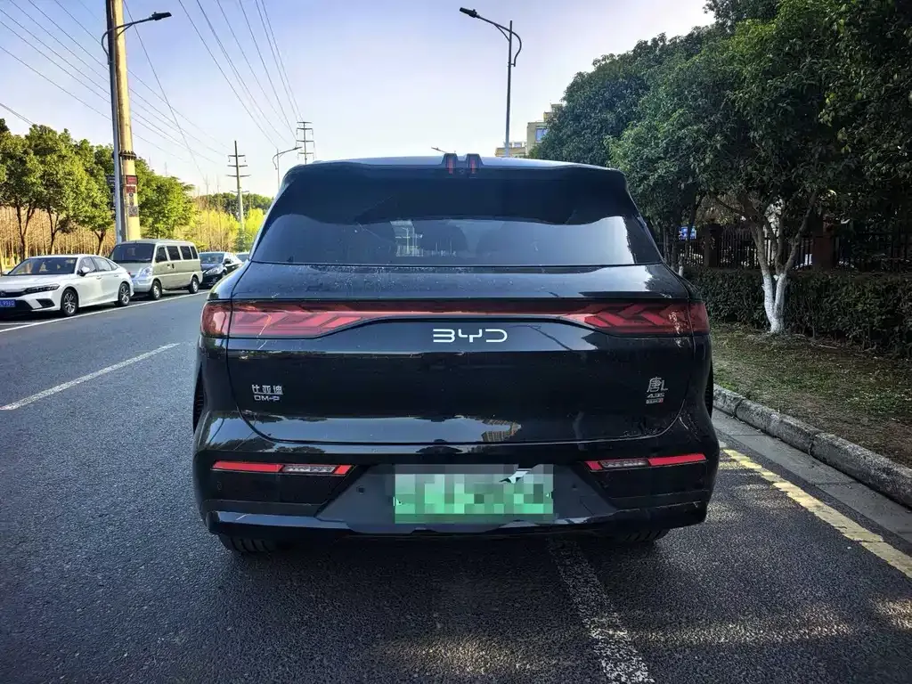 BYD Tang L 2025 из CN, фото 8