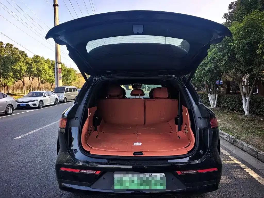 BYD Tang L 2025 из CN, фото 7