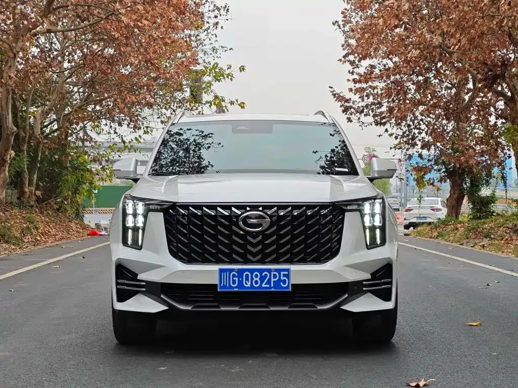 GAC Motor Trumpchi GS8 2023 из CN, фото 9
