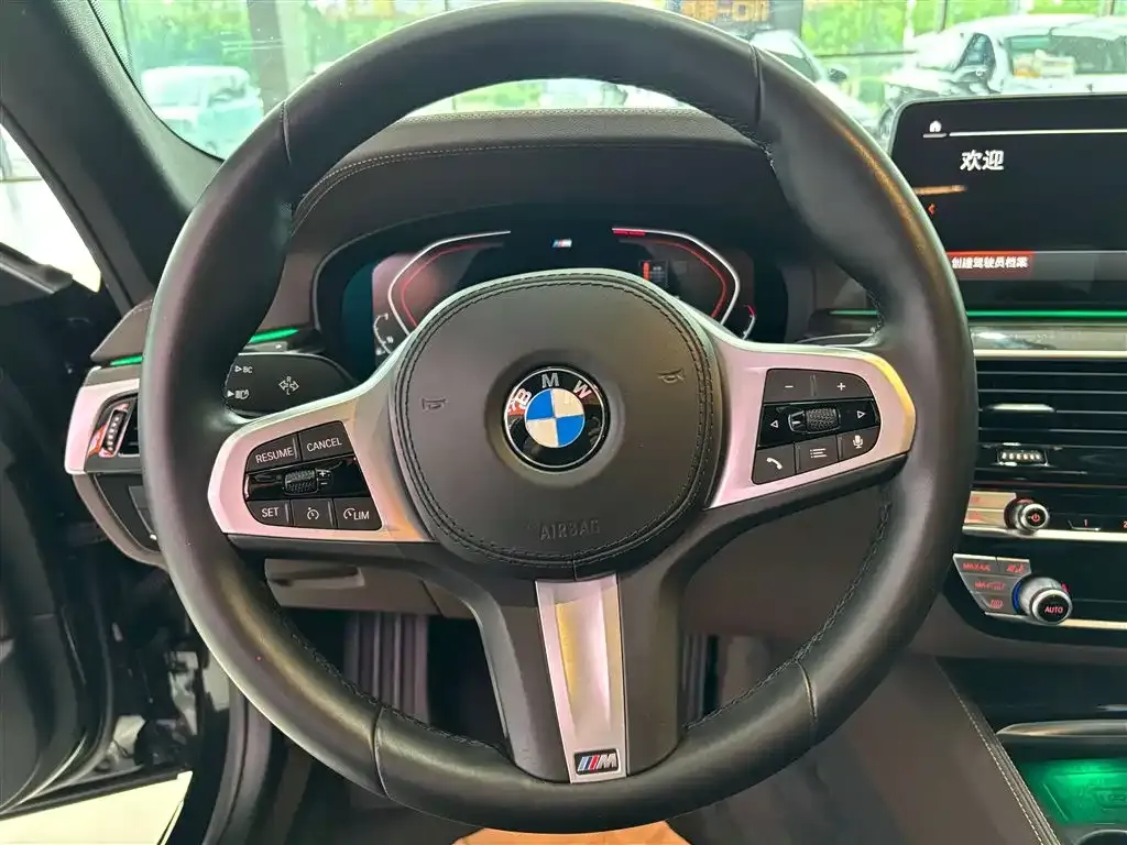 BMW 5 Series 2022 из CN, фото 3