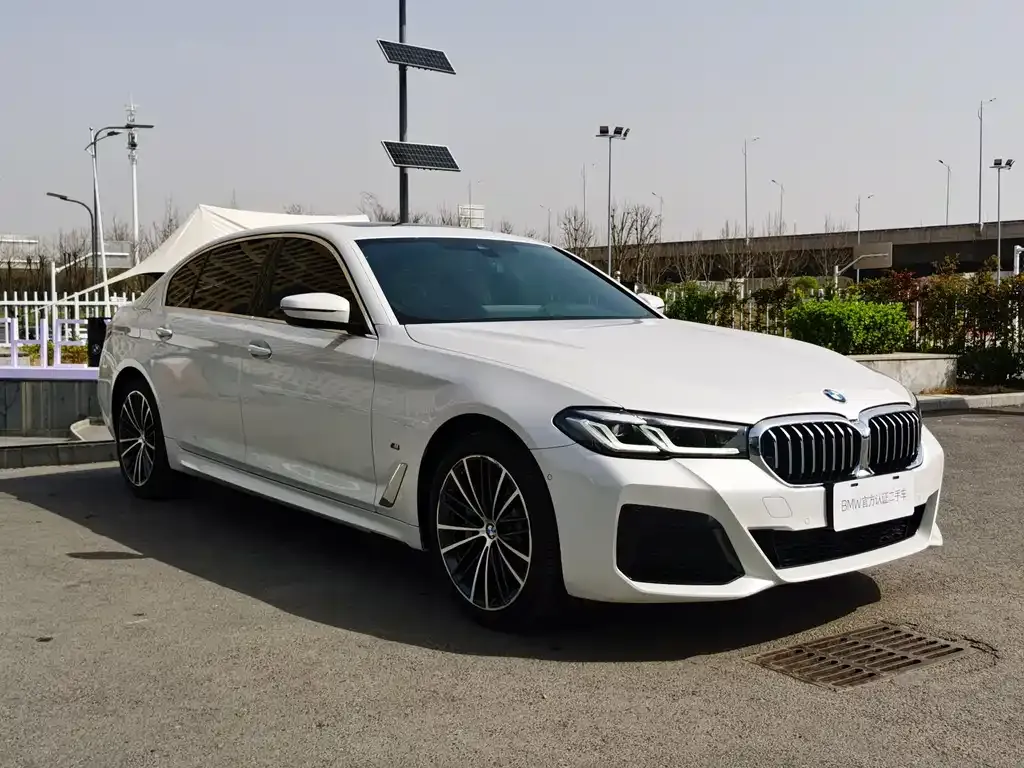 BMW 5 Series 2023 из CN, фото 6