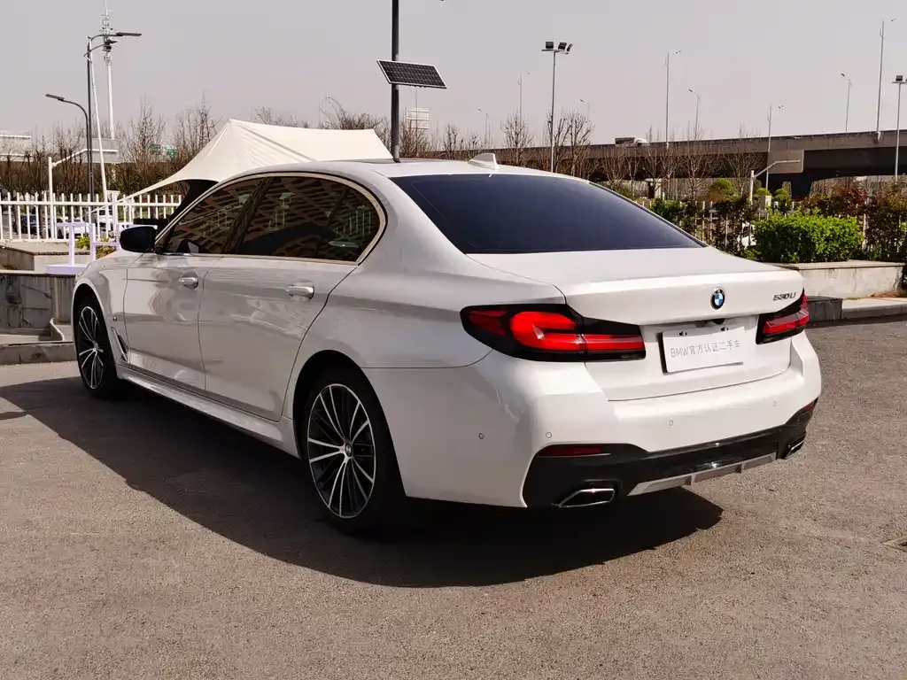 BMW 5 Series 2023 из CN, фото 4