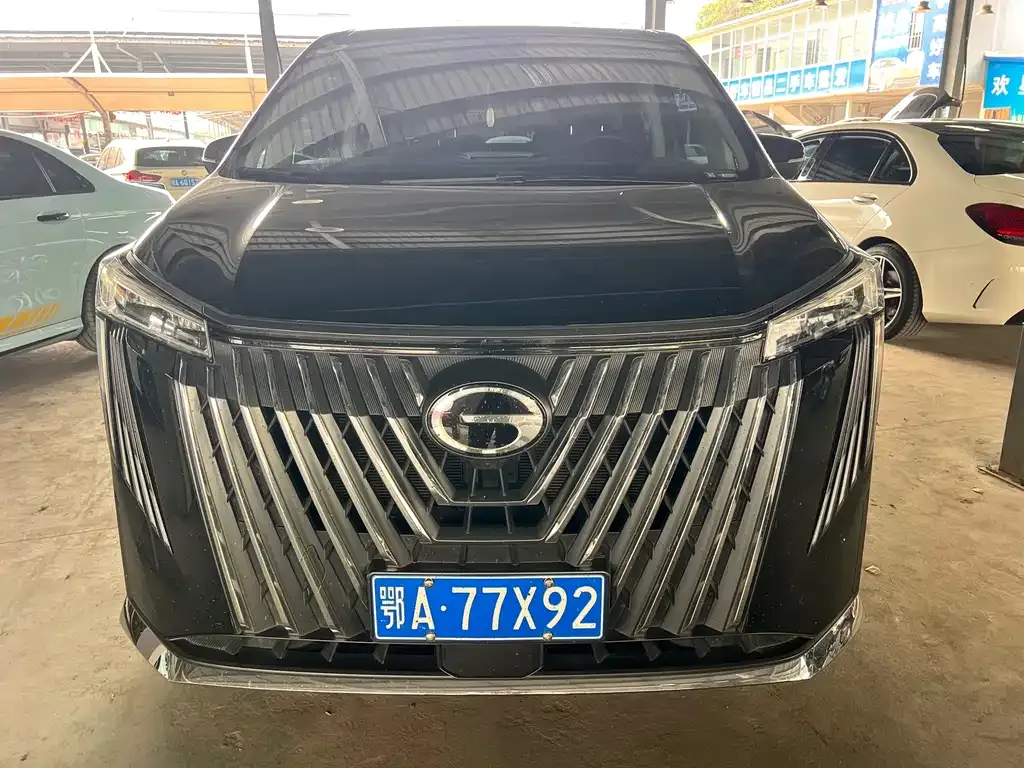 GAC Motor Trumpchi M8 2024 из CN, фото 9
