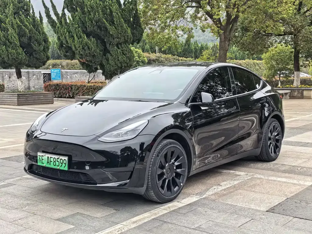 Tesla Model Y — фото 10