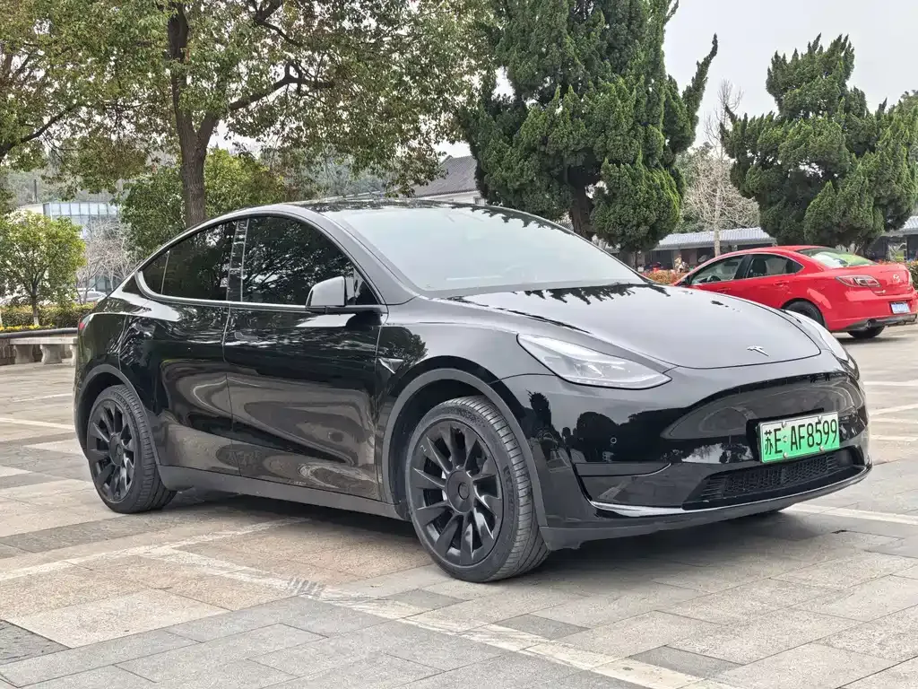 Tesla Model Y — фото 8