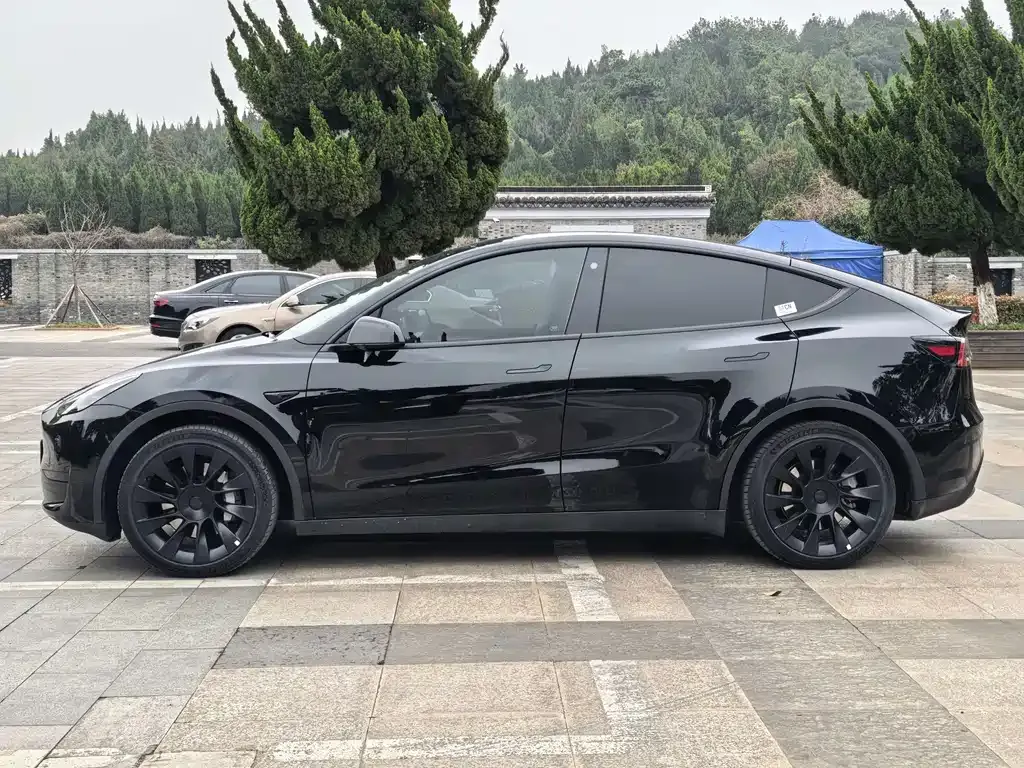 Tesla Model Y — фото 9