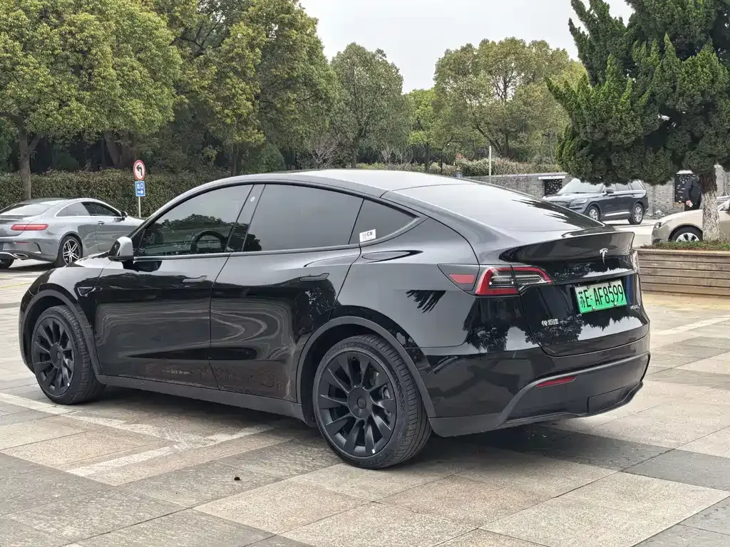 Tesla Model Y — фото 6