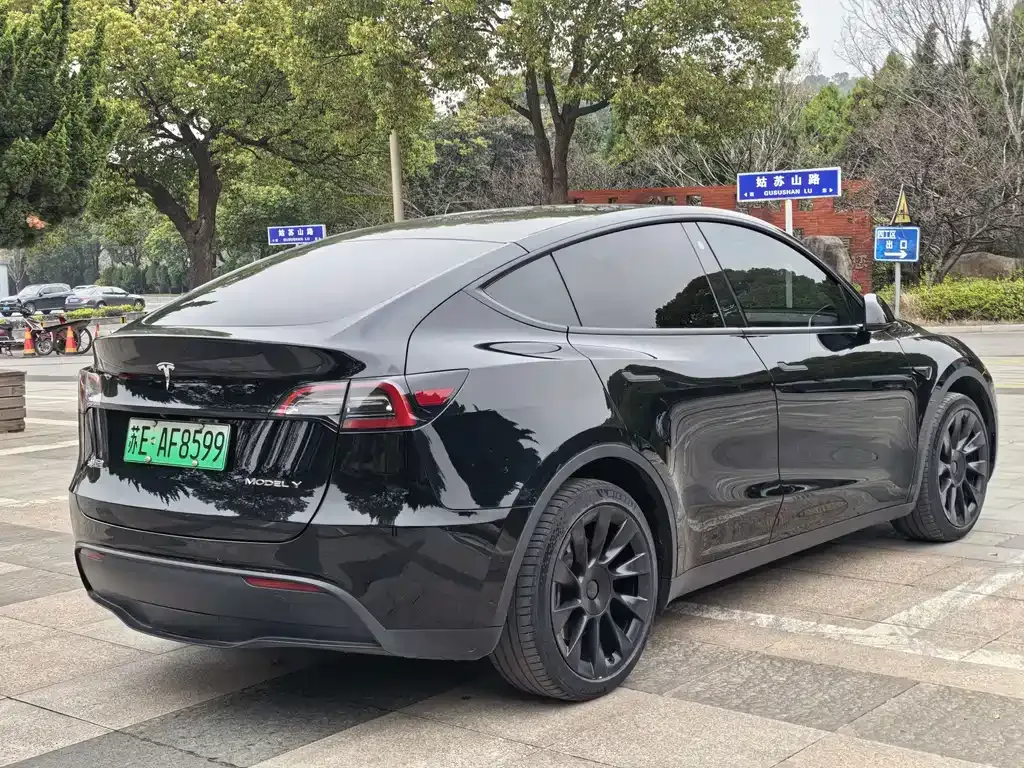 Tesla Model Y — фото 5