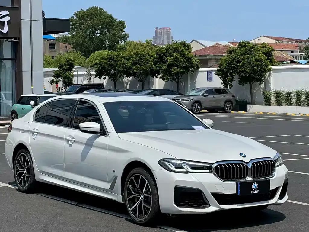 BMW 5 Series 2024 из CN, фото 7