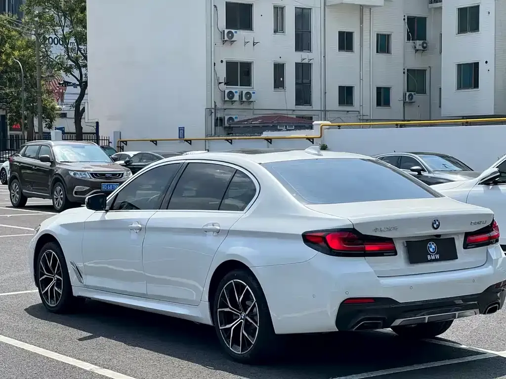 BMW 5 Series 2024 из CN, фото 9