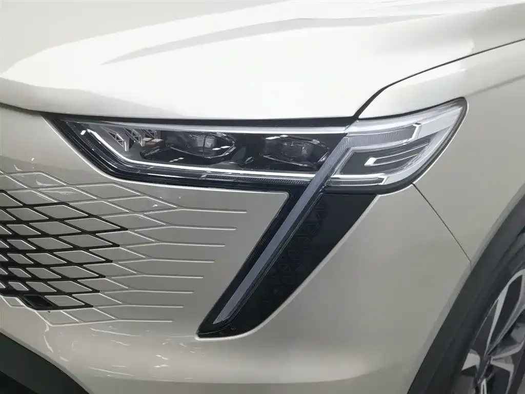 Haval Xiaolong MAX — фото 10
