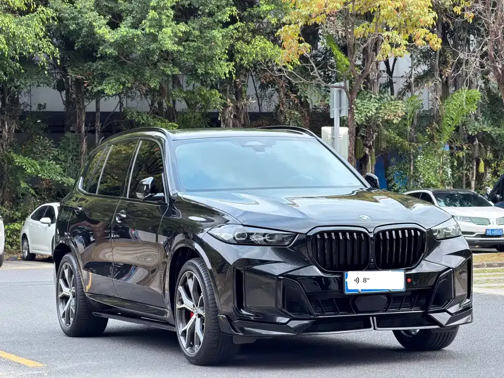 BMW X5 — фото 10