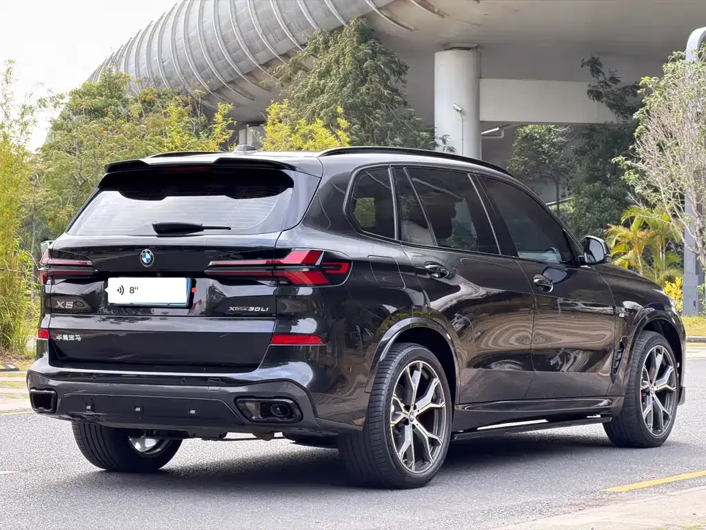 BMW X5 — фото 3