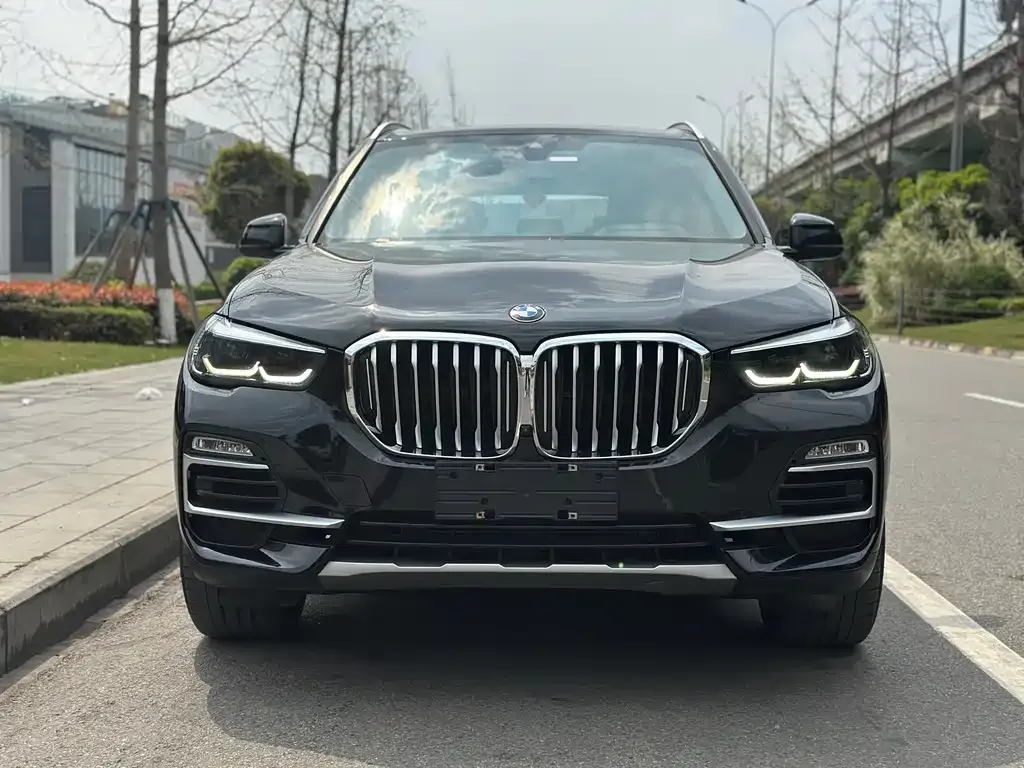 BMW X5 (Import) 2021 из CN, фото 3