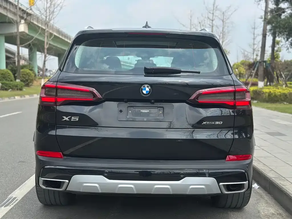 BMW X5 (Import) 2021 из CN, фото 6