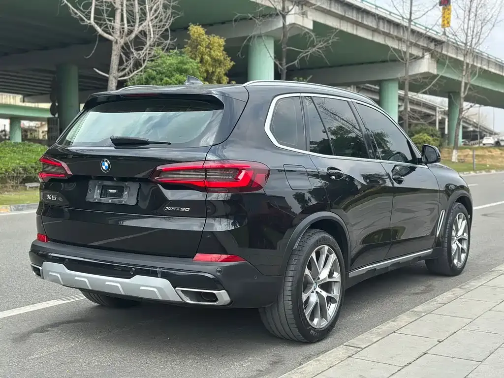 BMW X5 (Import) 2021 из CN, фото 4