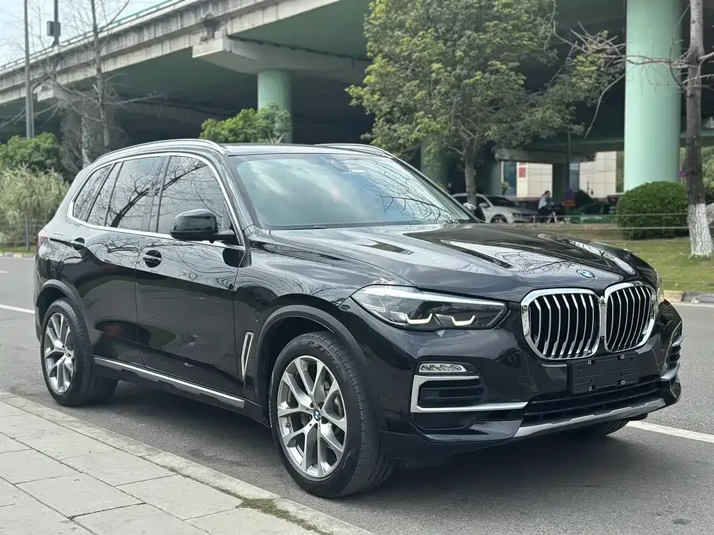 BMW X5 (Import) 2021 из CN, фото 10