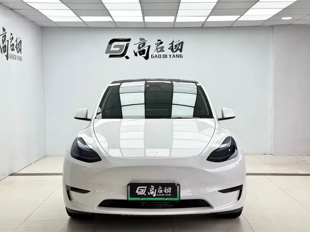 Tesla Model Y — фото 2
