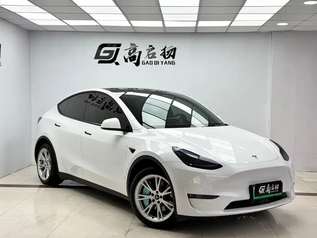 Tesla Model Y — фото 3