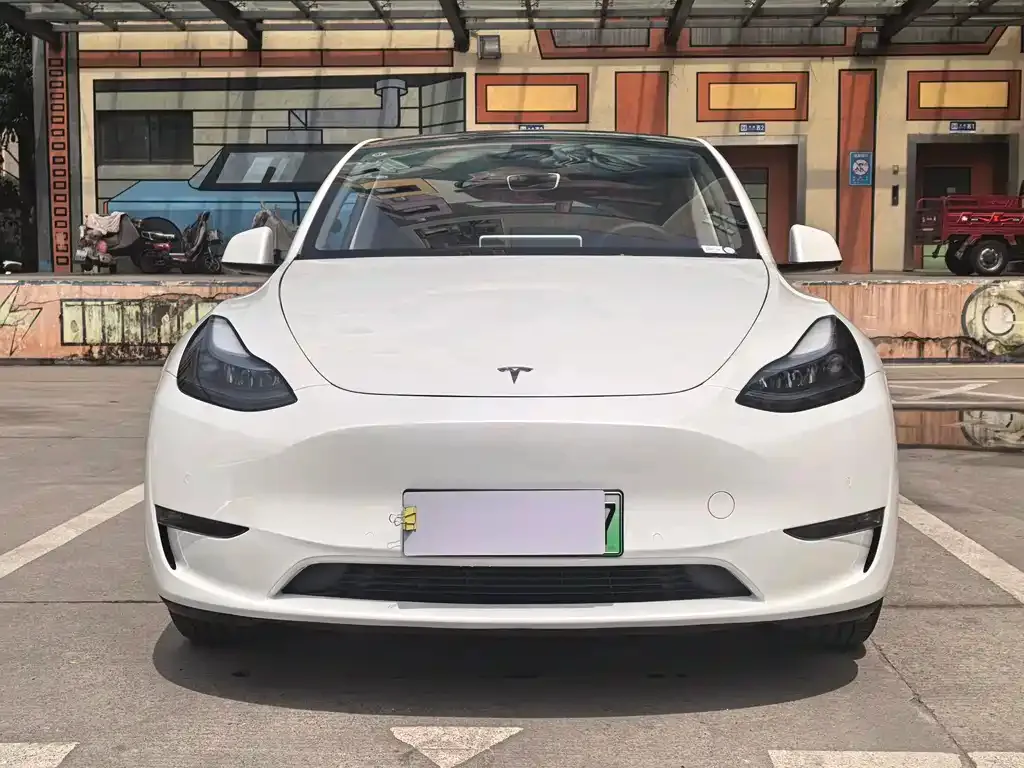 Tesla Model Y — фото 10