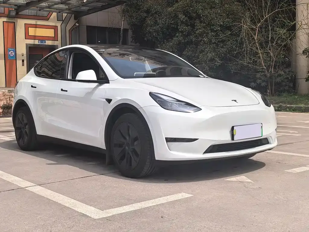 Tesla Model Y — фото 3