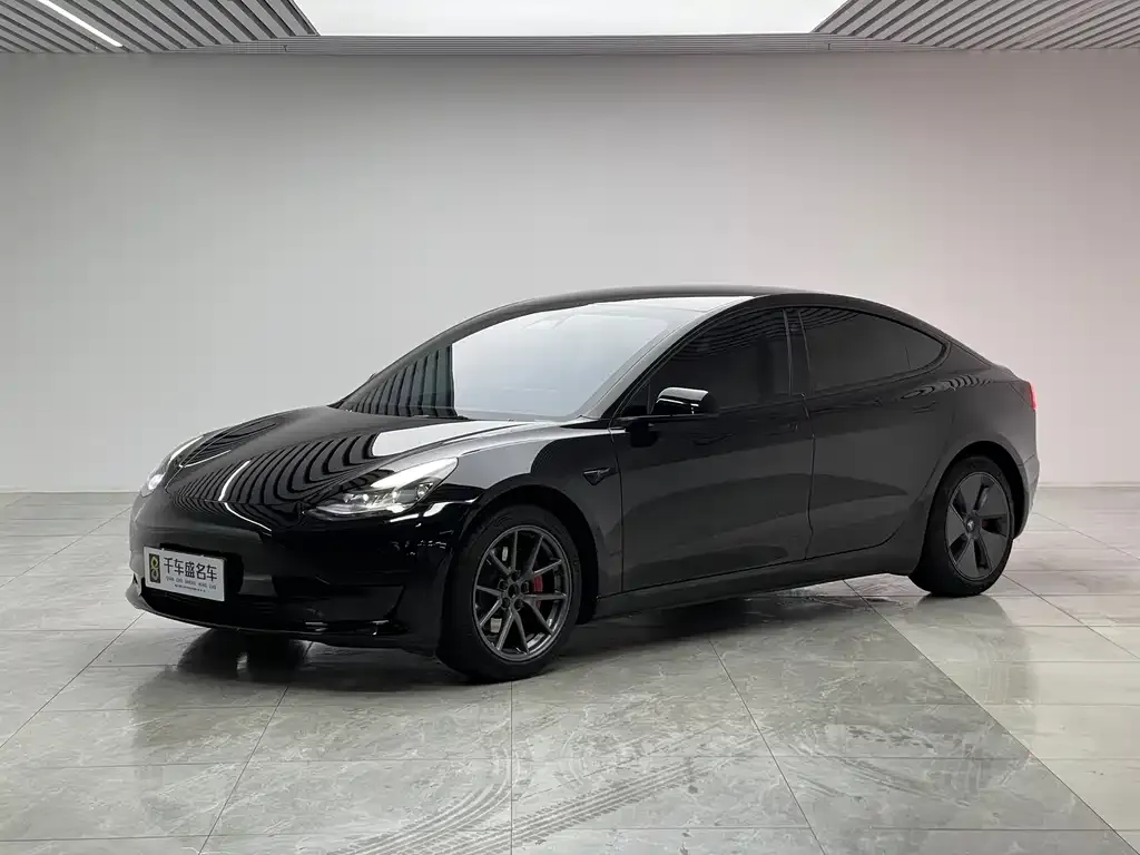Tesla Model 3 2021 из CN, фото 1