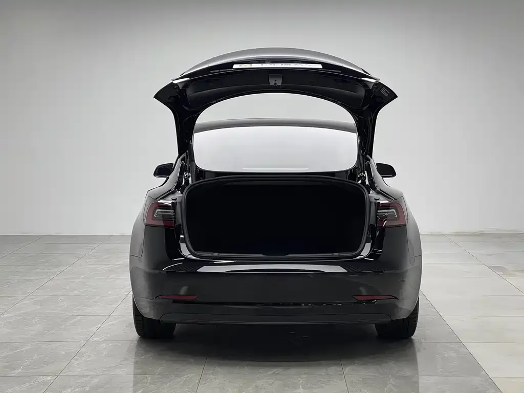 Tesla Model 3 2021 из CN, фото 4