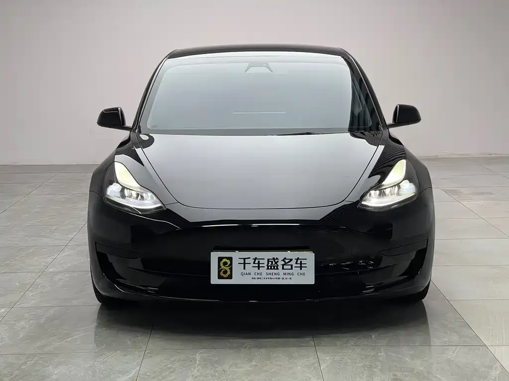 Tesla Model 3 2021 из CN, фото 7