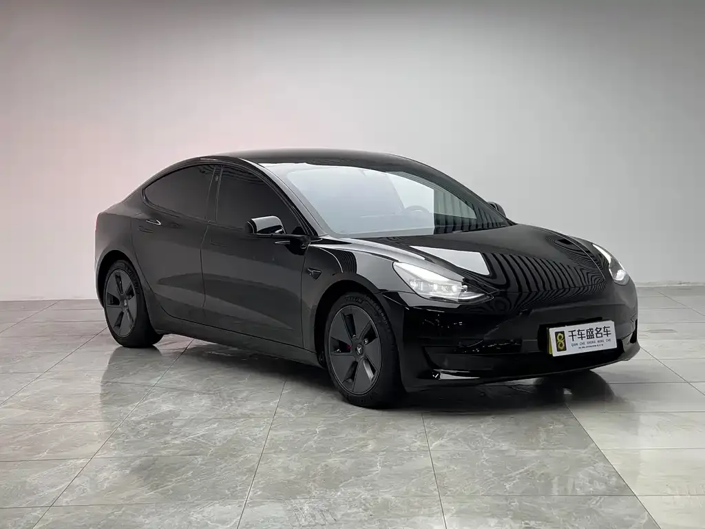 Tesla Model 3 2021 из CN, фото 2