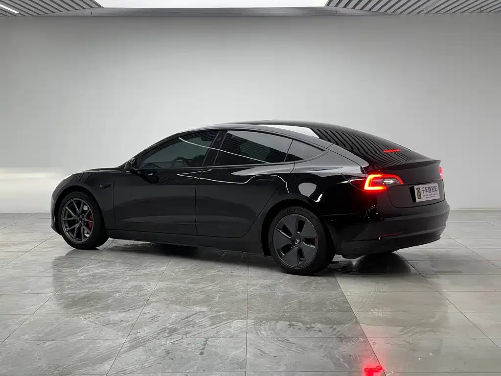 Tesla Model 3 2021 из CN, фото 3