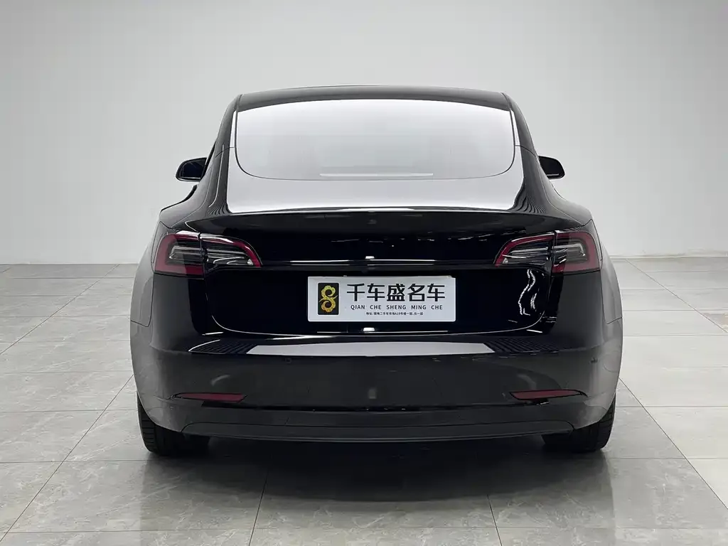 Tesla Model 3 2021 из CN, фото 6