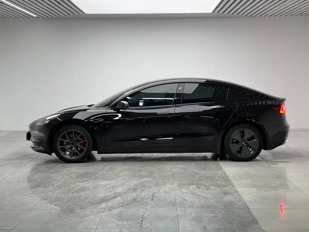 Tesla Model 3 2021 из CN, фото 9