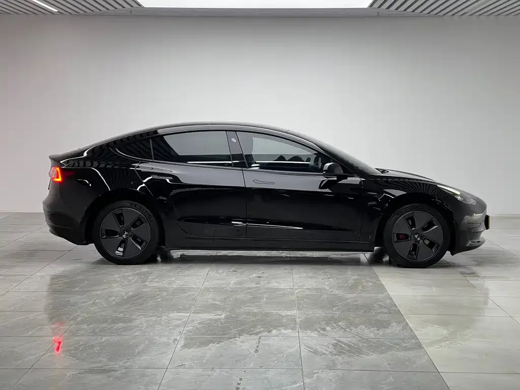Tesla Model 3 2021 из CN, фото 5