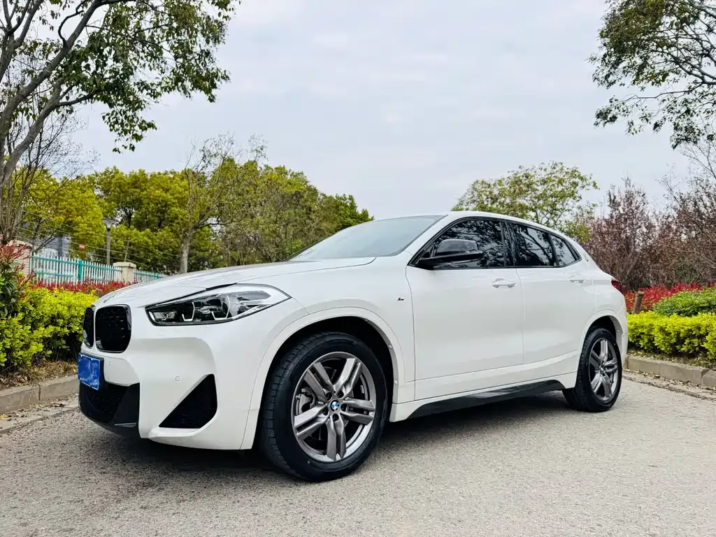 BMW X2 — фото 1