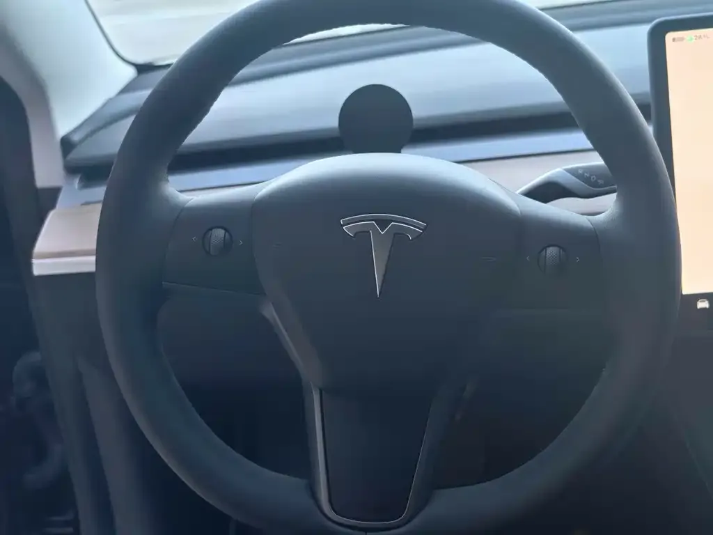 Tesla Model 3 2023 из CN, фото 10