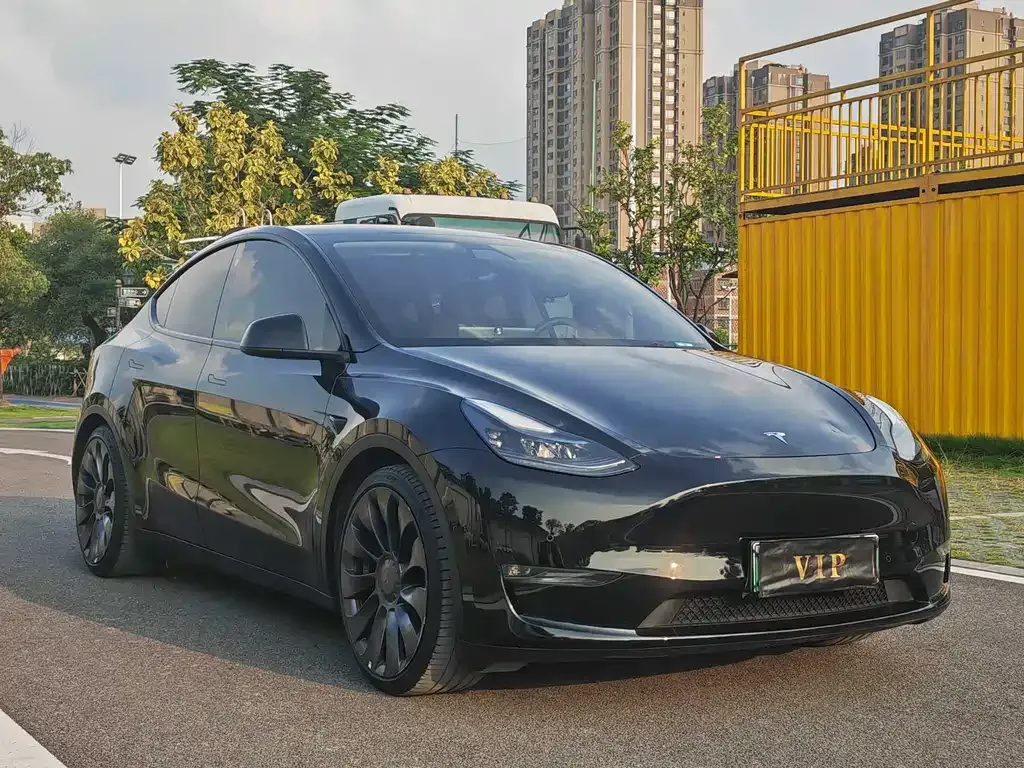 Tesla Model Y — фото 10