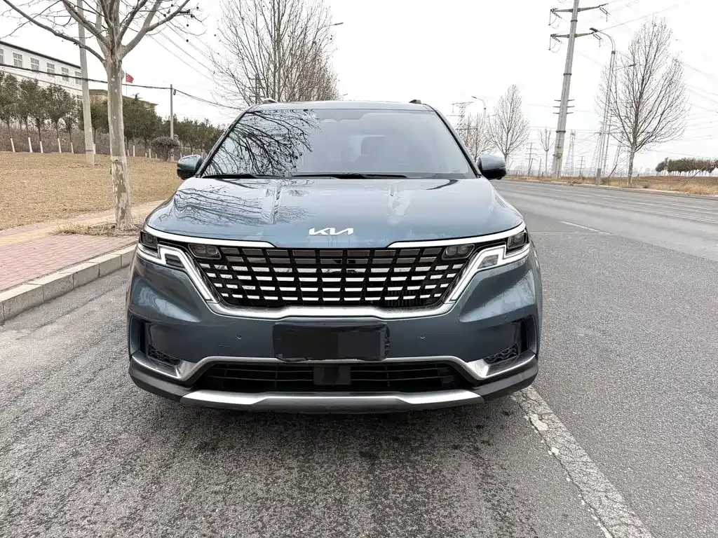 Kia Carnival 2022 из CN, фото 7