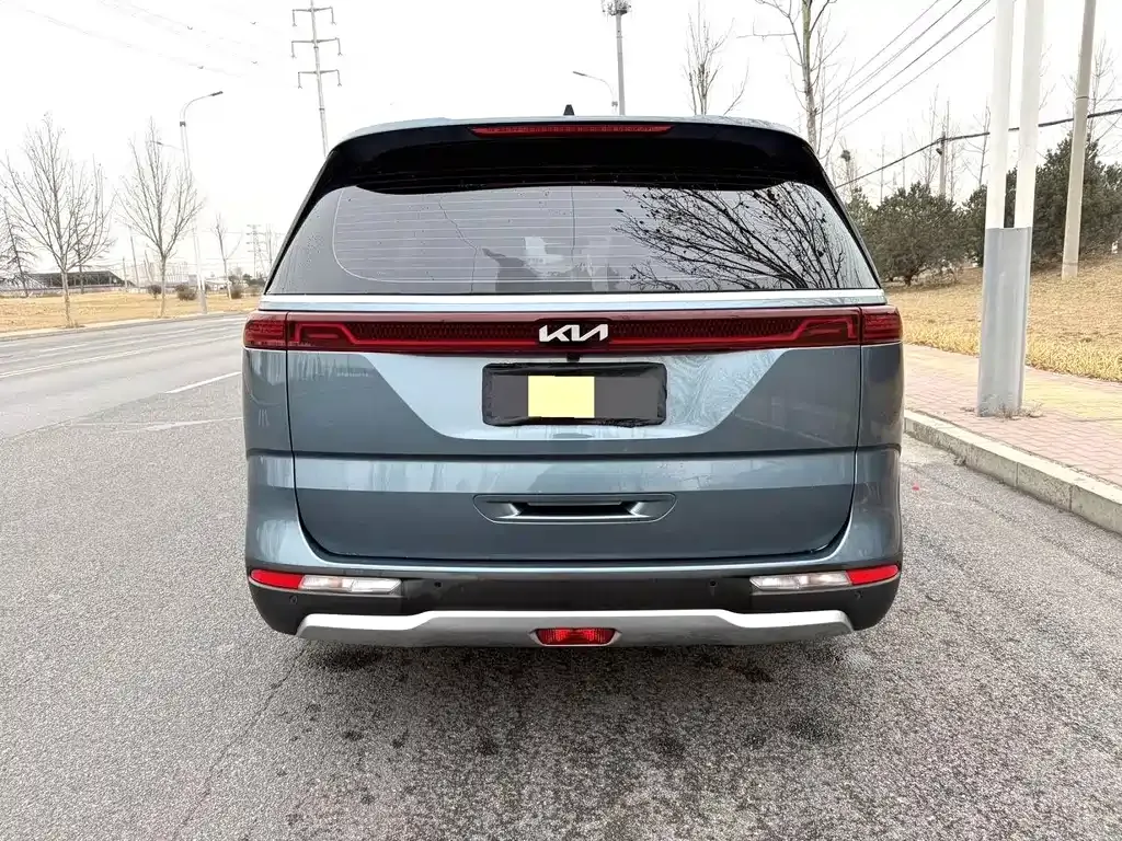 Kia Carnival 2022 из CN, фото 6