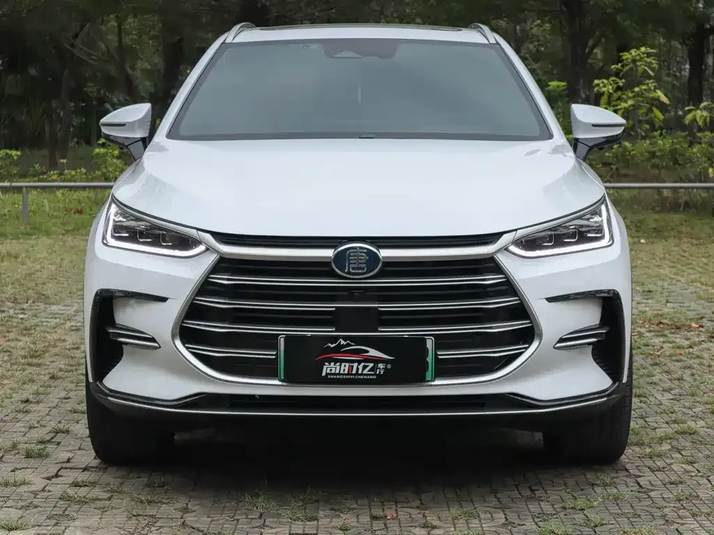 BYD Tang New Energy 2023 из CN, фото 2