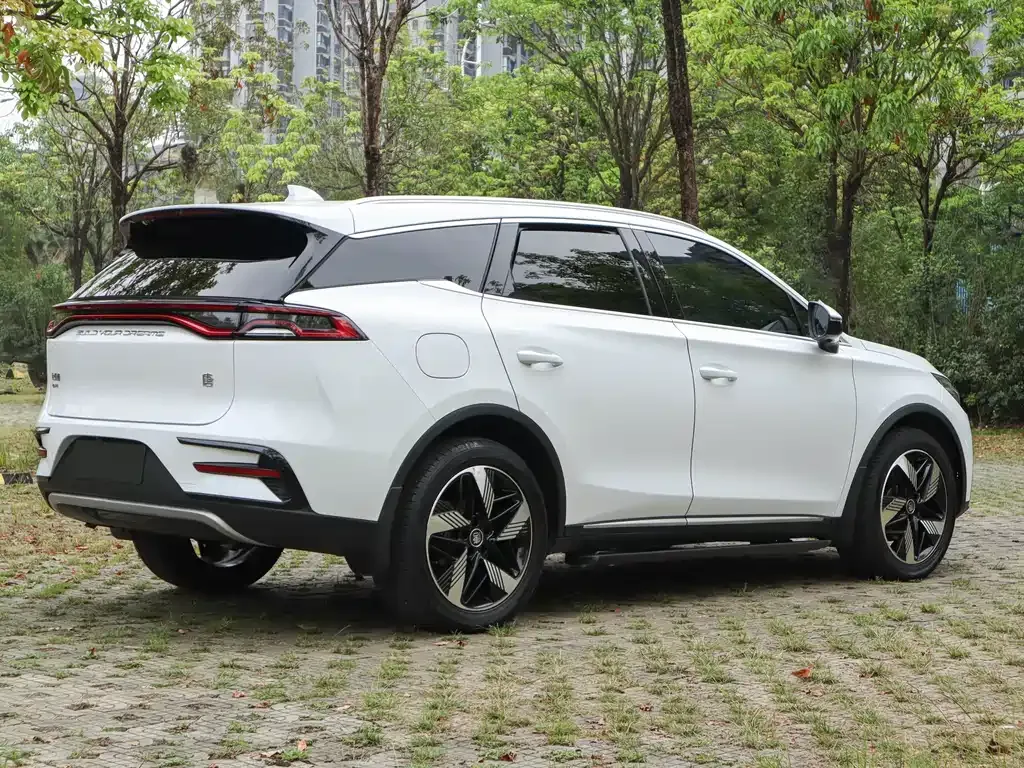 BYD Tang New Energy 2023 из CN, фото 5