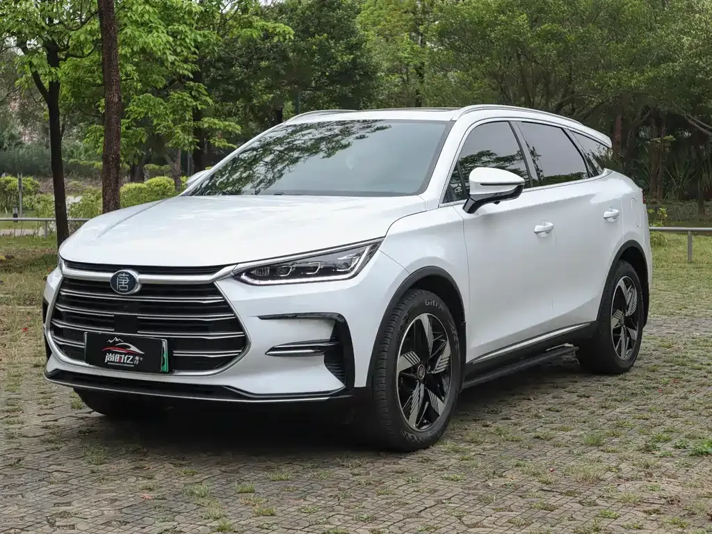 BYD Tang New Energy 2023 из CN, фото 6